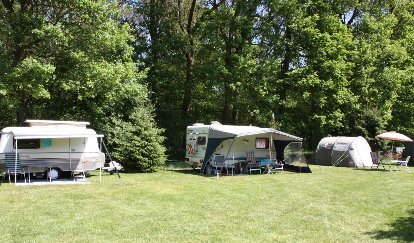 De camping bevindt zich in een bosrijke omgeving.