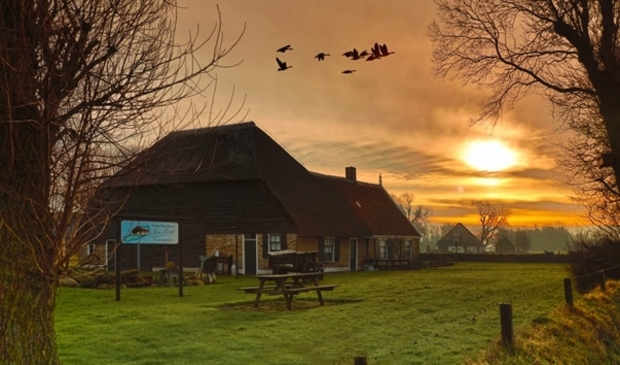 <p>Een stolpboerderij op z'n mooist.</p>