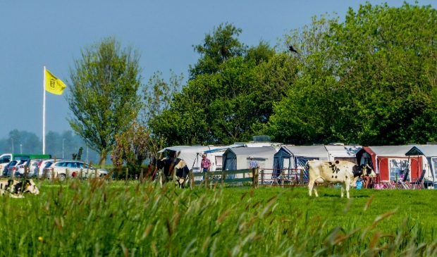 <p>Landelijk kamperen steeds populairder zoals hier bij Camping de Kei in Castricum.</p>
