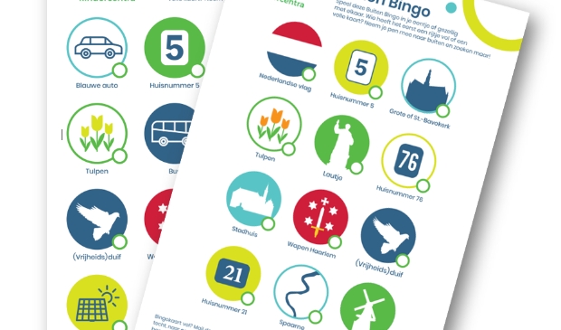 <p pstyle="PLAT">De bingokaarten</p>