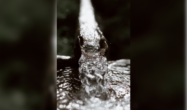 <p> Verschillende bewoners in de Ooievaarstraat hebben te maken met wateroverlast.</p>