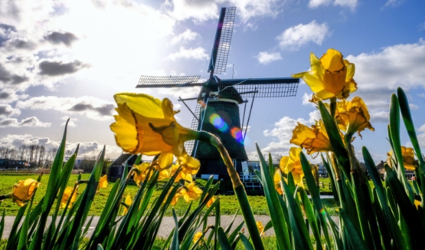 <p>Lente in Uitgeest.</p>
