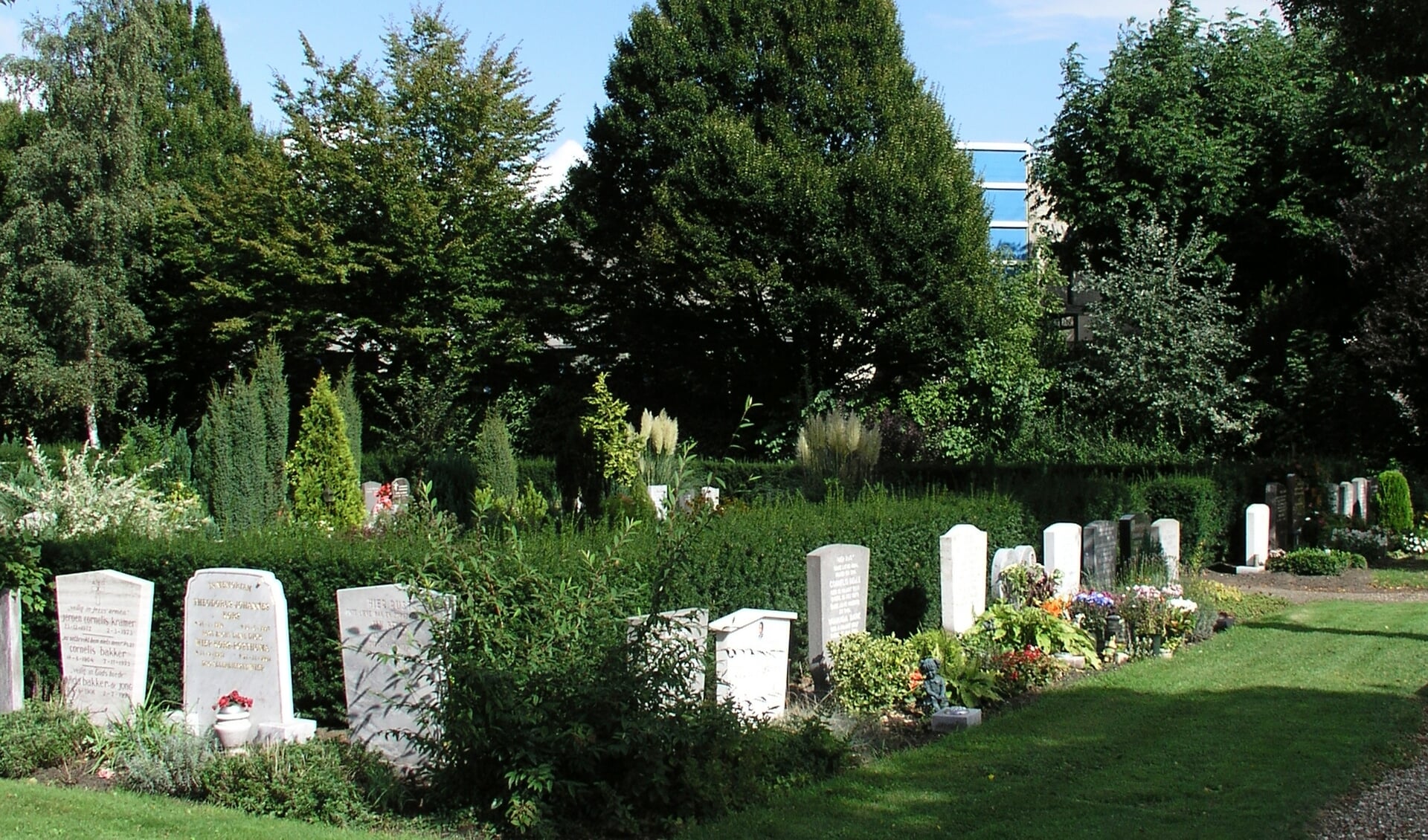 Ook de bomen op de algemene begraafplaats in Zaandam Zuid mogen niet zonder vergunning gerooid worden.
