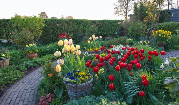 <p>De lente laat zich zien in de tuin.</p>