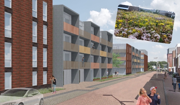 <p>De daken van de drie complexen krijgen een groen sedumdak.</p>