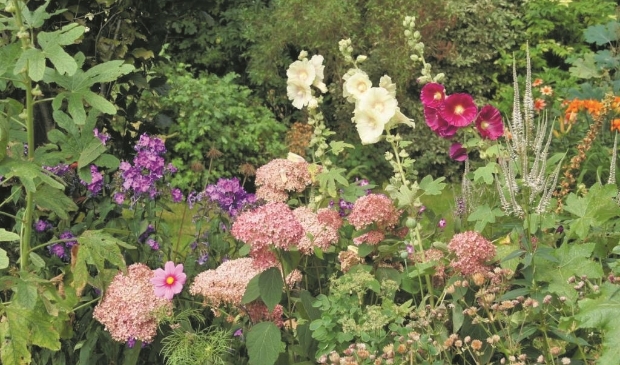 <p>Vrijwilligers gezocht met groene vingers.</p>