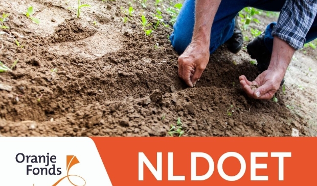 <p>Welke groene vingers bieden hulp in de tuin?</p>