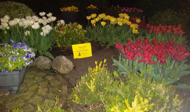 <p>De eerste prijs ging naar deze voorjaarstuin in Limmen.</p>