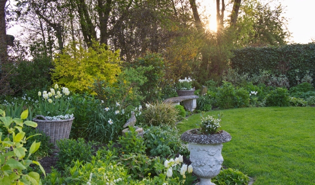 <p>De tuin van een van de deelnemers staat tijdens De Groene Route in de bloei.</p>