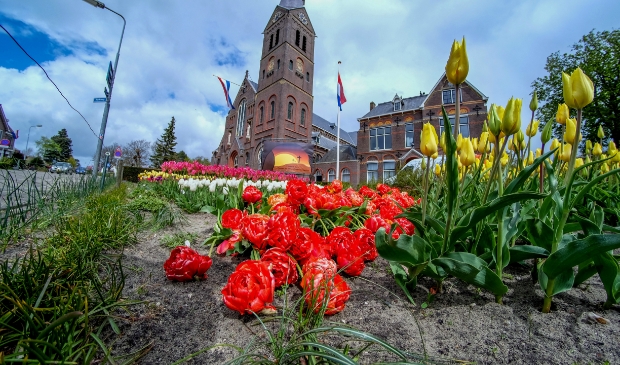 <p pstyle="PLAT">Toch nog een beetje een hortussfeer bij de Corneliuskerk in Limmen.</p>