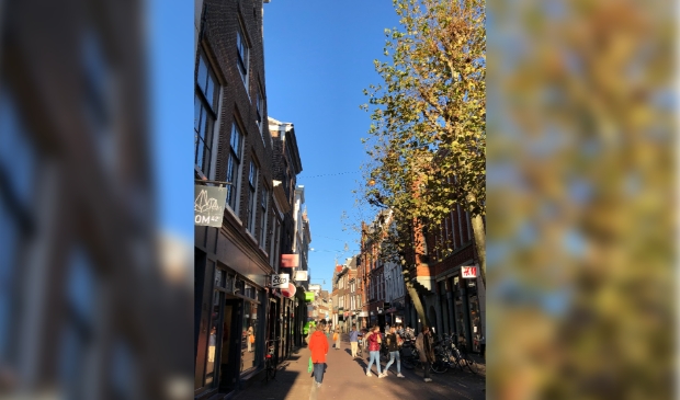 Het aantal Haarlemmers is tussen 2019 en 2020 flink gegroeid.