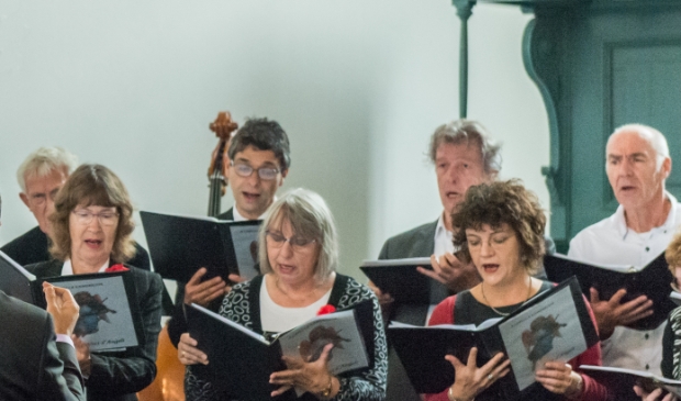 <p>Het Voci d'Angeli koor toen er nog samen gezongen werd. </p>