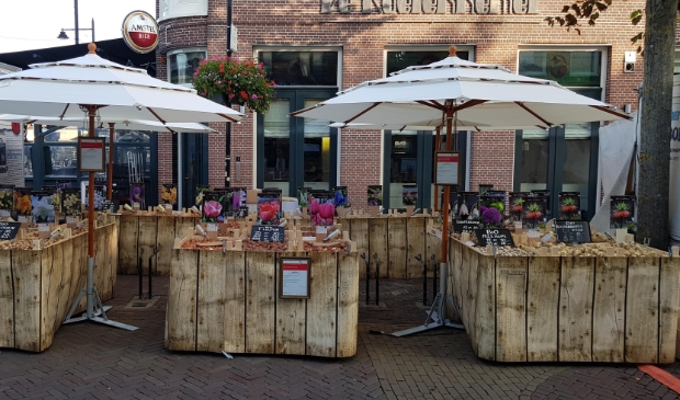 <p>Biologische bloembollen zijn weer te koop.</p>