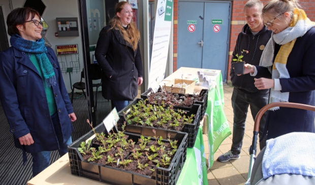 <p>Tegels ruilen voor een plantje in Mare Nostrum.</p>