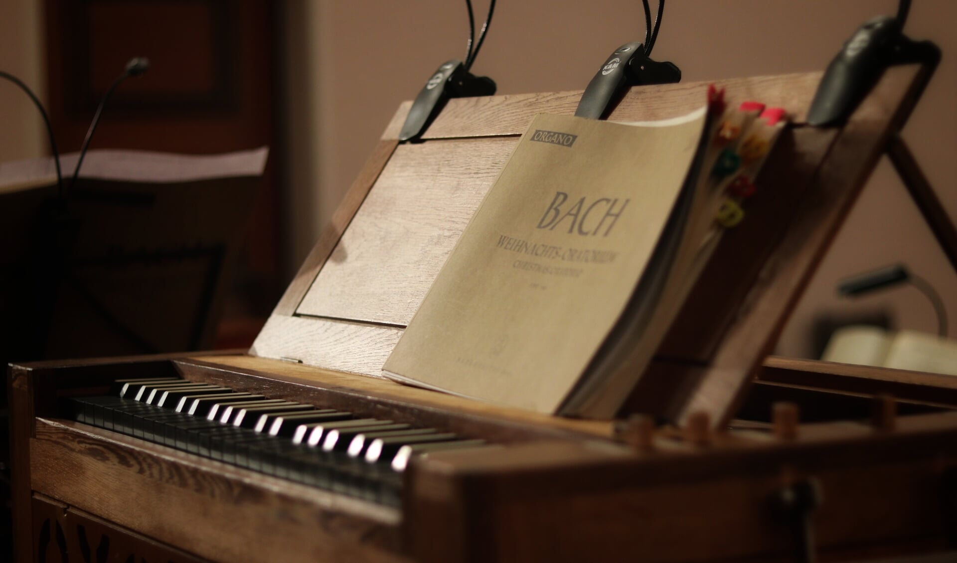 Alles over Bach: 12 juni