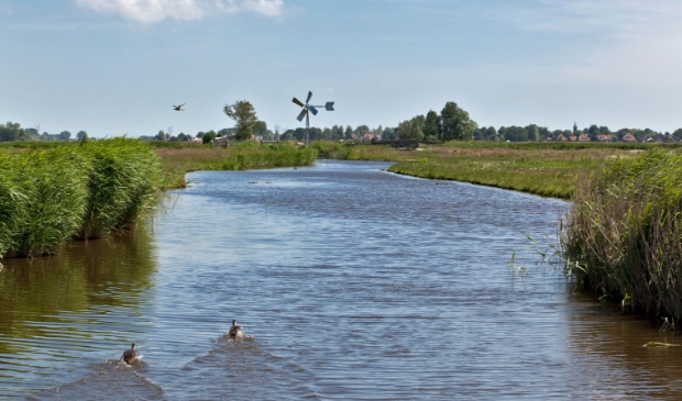 <p>Prachtig stukje Noord-Hollandse natuur: het Kerkemeertje in de Eilandspolder.</p>