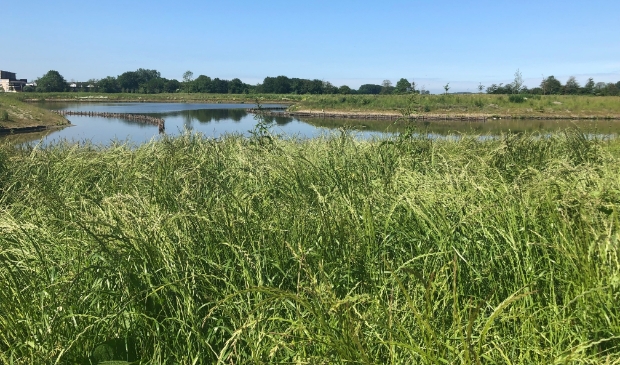 <p>De natuurbegraafplaats Geestmerloo.</p>
