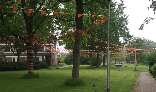 <p>Oranjekoorts bij de Hartemaat.</p>