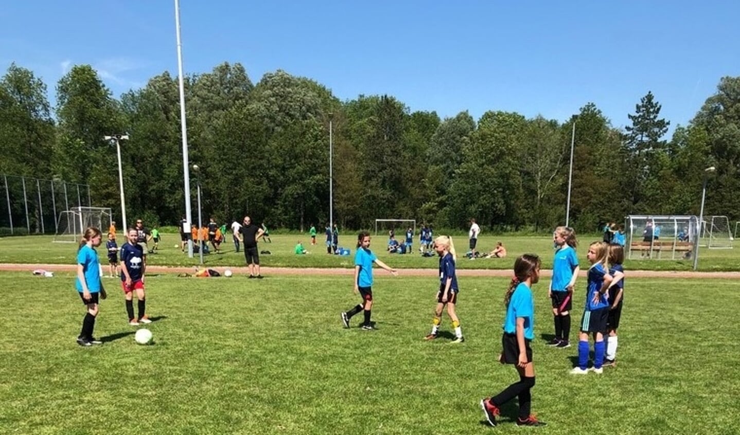 Aan het schoolvoetbaltoernooi doet ook een aantal meisjesteams mee: op de foto de teams van Zonnewijzer en de Familieschool.