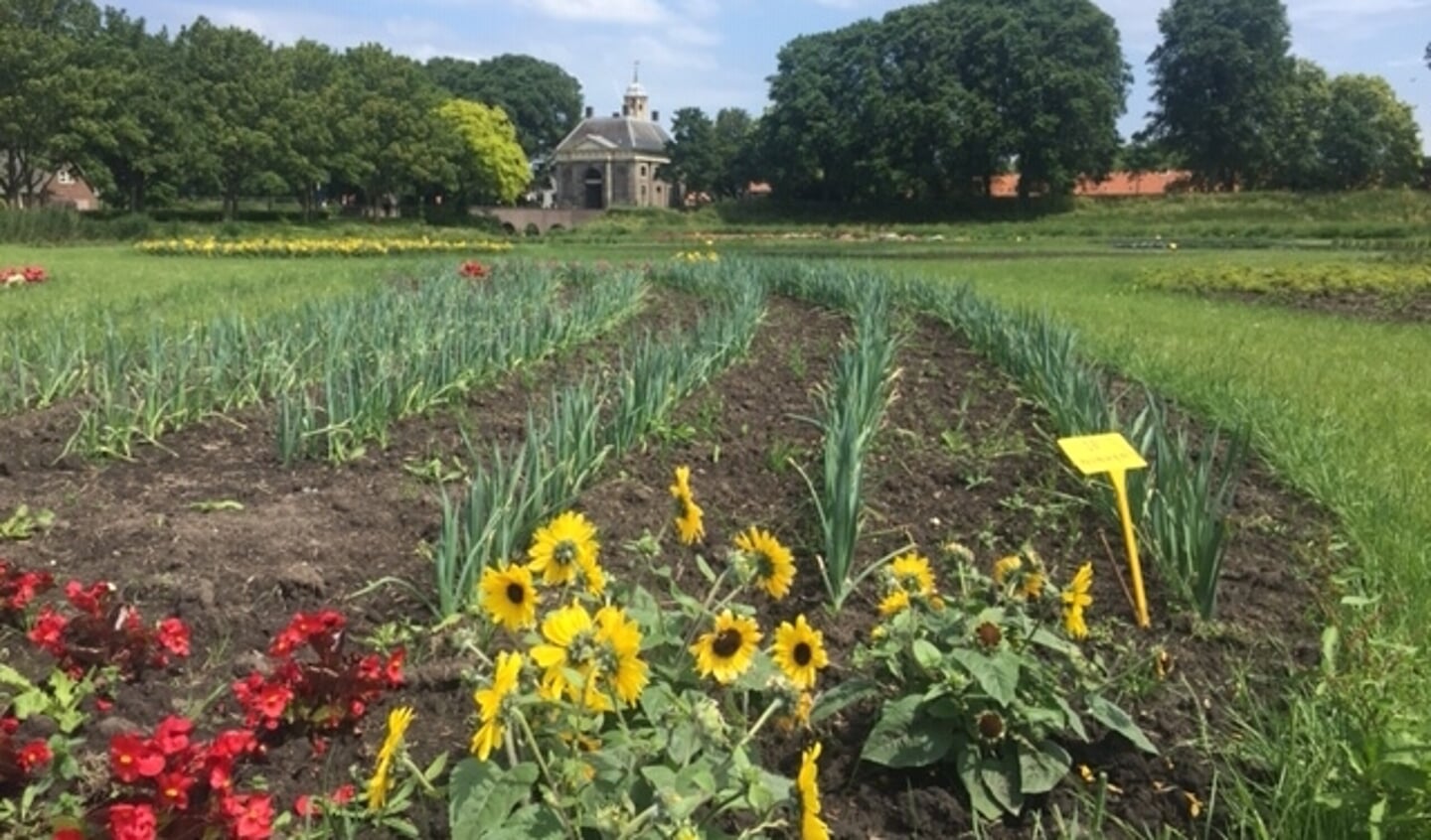 De Garden in Enhuizen