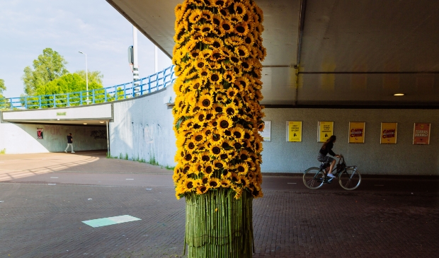 <p>Kunstwerk van zonnebloemen op het Mosplein.</p>