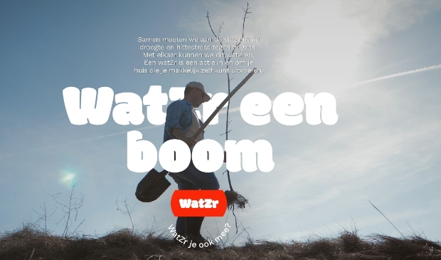 <p>Water een boom.</p>