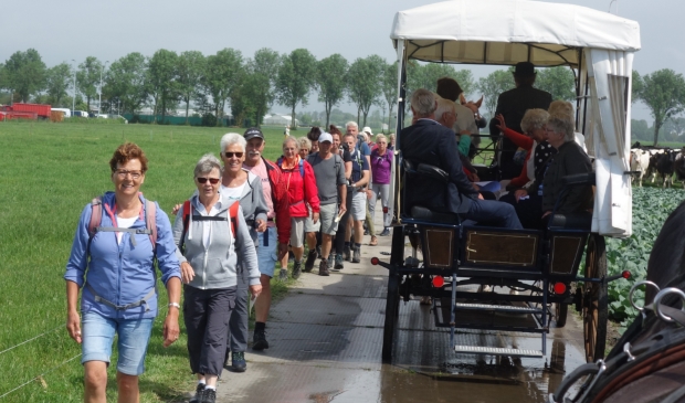 <p>Wandelaars en huifkar passeren elkaar tijdens de tocht door de Noordender polder.</p>