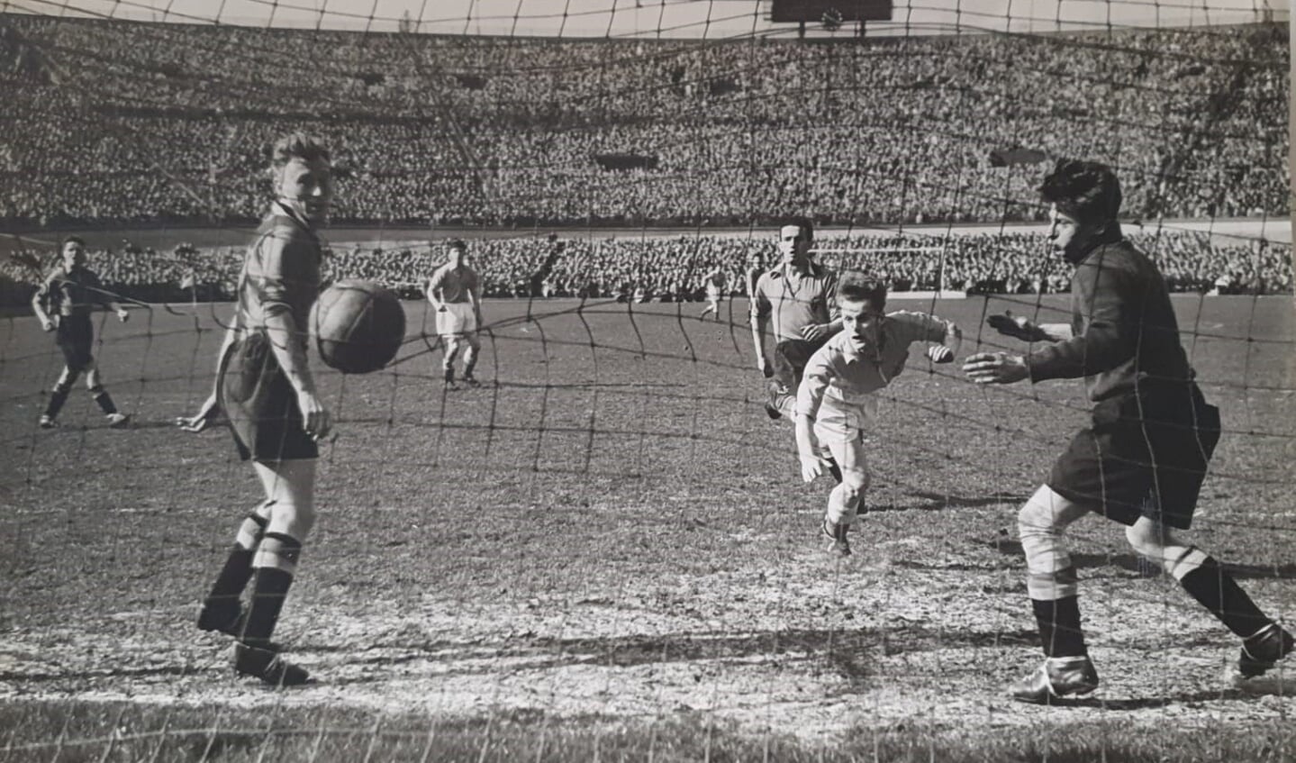 Piet Groeneveld speelde drie interlands voor Oranje: tegen België, Finland en Noorwegen. Alle drie in 1951. 