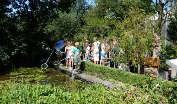 <p>Eerdere editie van Beestjesdag in Hortus Alkmaar. </p>