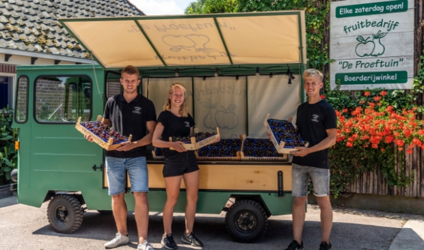 <p>De kinderen van Henry en Lian werken keihard mee. Van links naar rechts Wessel, Maike en Jasper.</p>
