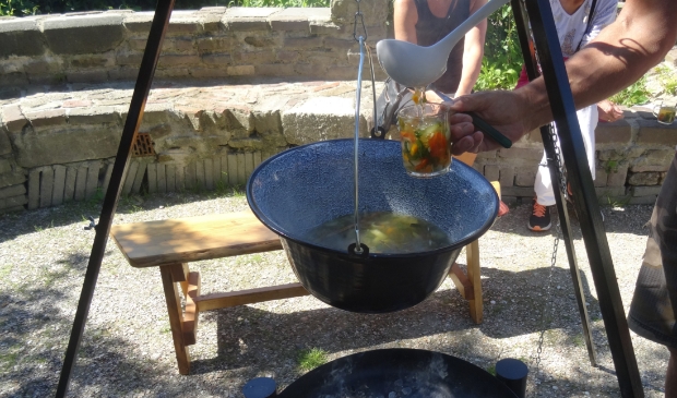 <p>Koken met planten uit de tuin voor kinderen in Hertenkamp Enkhuizen.</p>