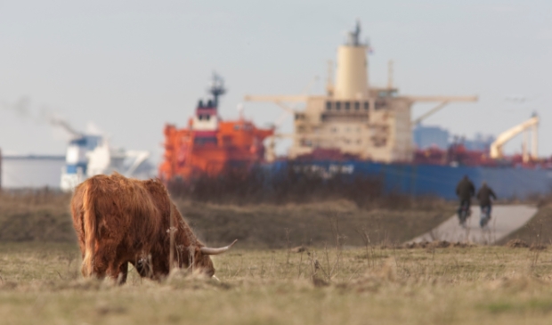Gemeenten uit de regio Rotterdam kunnen bij het fonds projecten indienen die een bijdrage leveren aan de milieukwaliteit of ruimtelijke kwaliteit.