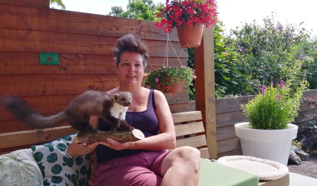 Loes met een van de dieren die ze natuurgetrouw heeft opgezet: een steenmarter.