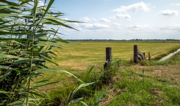 Ook dit gebied in gemeente Castricum, pal naast de A9 hoort tot de Amsterdam Wetlands.