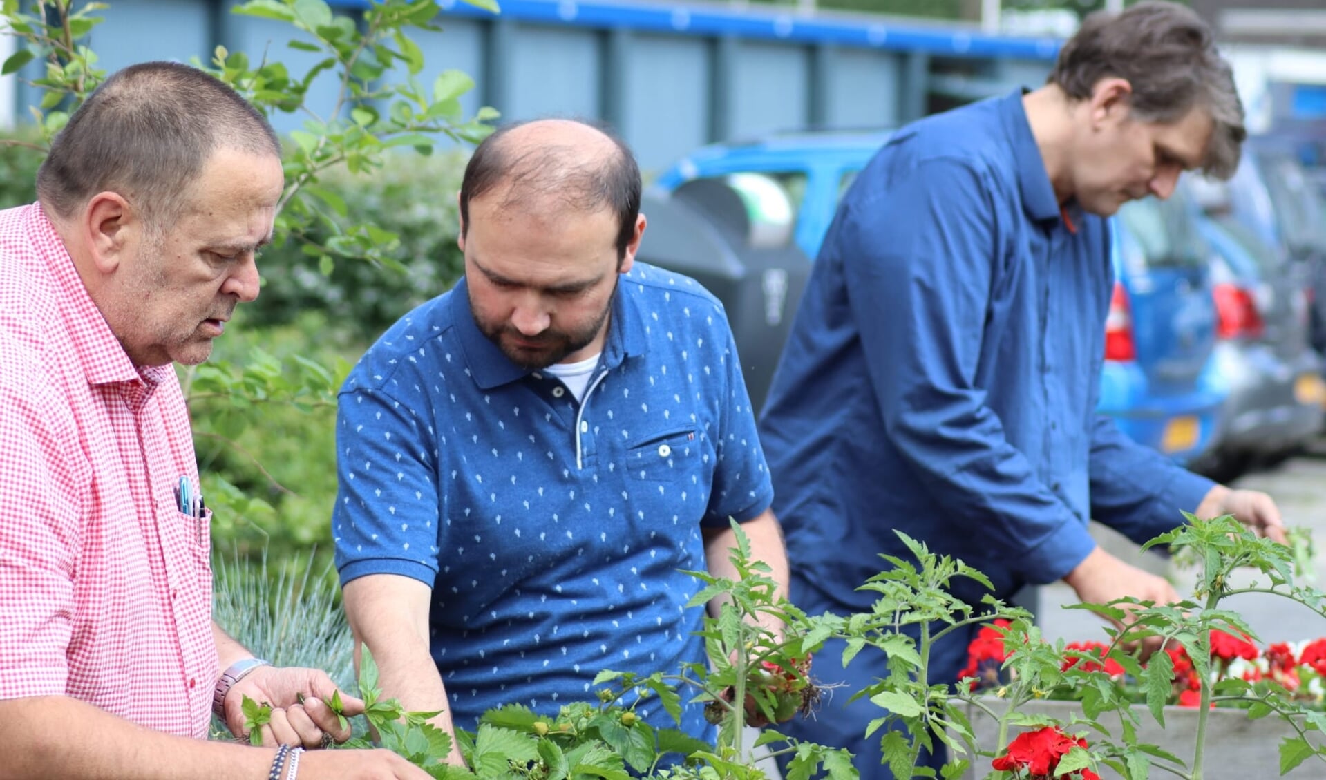 Ook Harold, Emiullah en René helpen mee bij het onderhoud van de ingerichte plantenbakken 