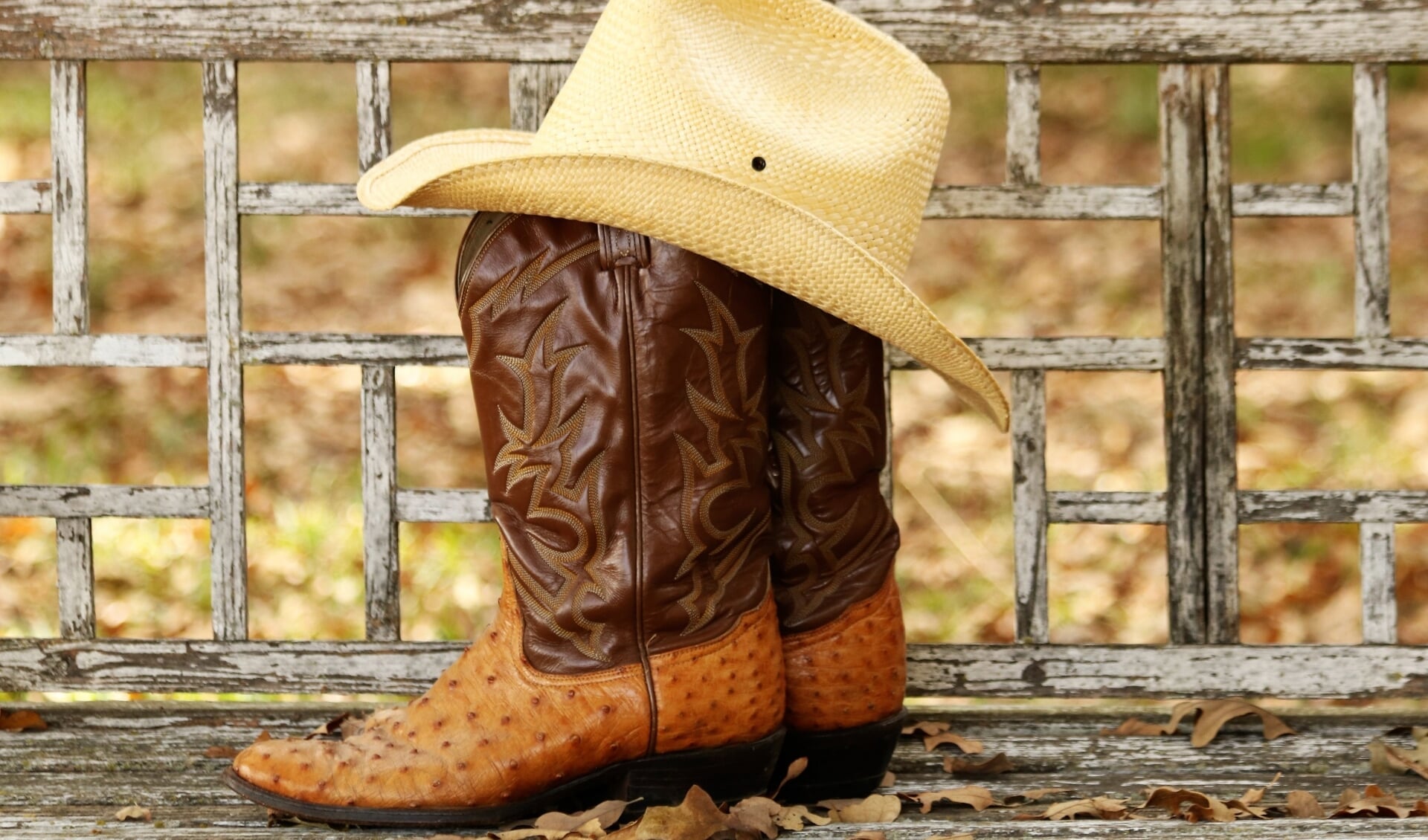 Pak je cowboylaarzen maar alvast en je hoed!