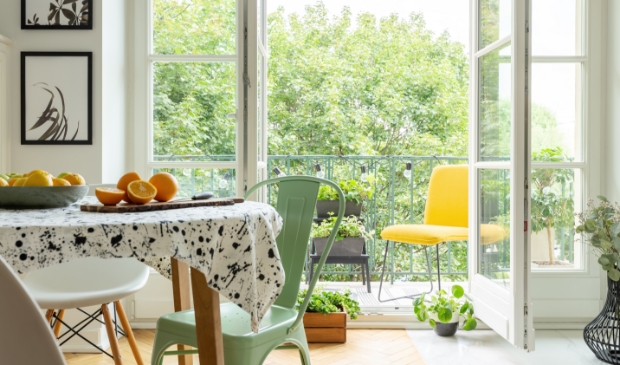 <p>Tover jouw 'winterholletje' om naar een kleurrijke omgeving!</p>