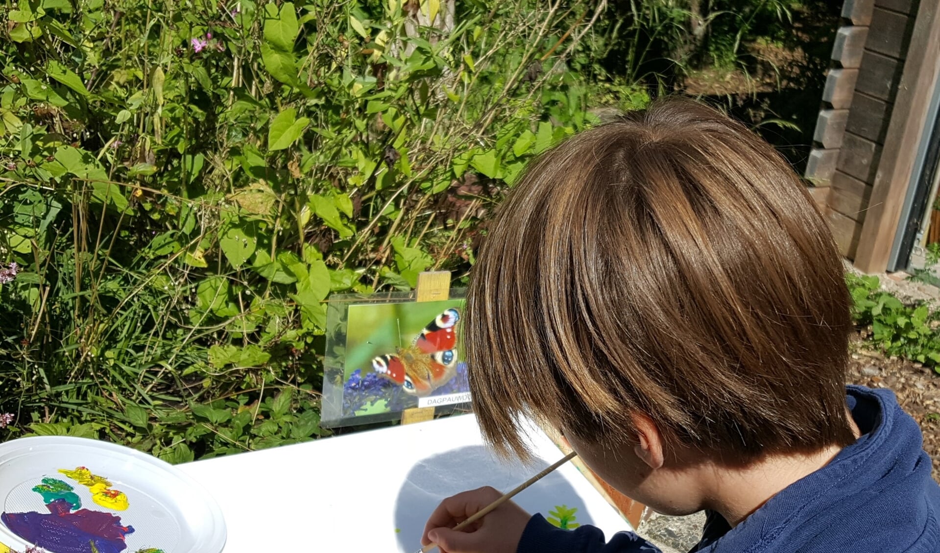 Workshop Schilderen in de natuur voor kinderen bij Hertenkamp Enkhuizen.