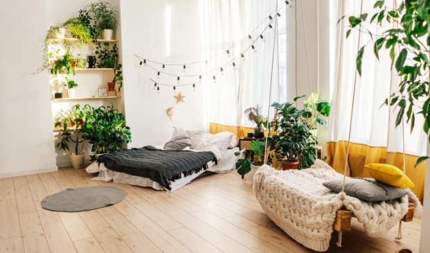 <p>Tover jouw huis om tot een duurzaamheidspaleis. </p>