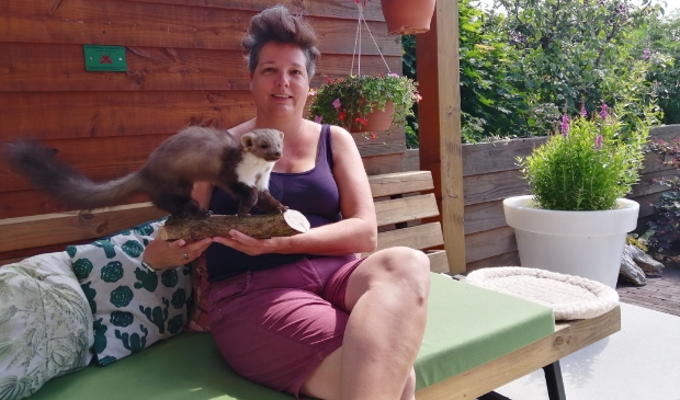 <p>Loes met een van de dieren die ze natuurgetrouw heeft opgezet: een steenmarter.</p>
