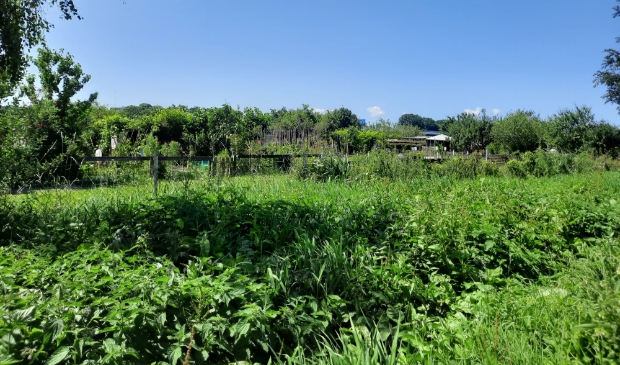 <p>Woningzoekende Landsmeer moeten wel 22 jaar wachten.</p>