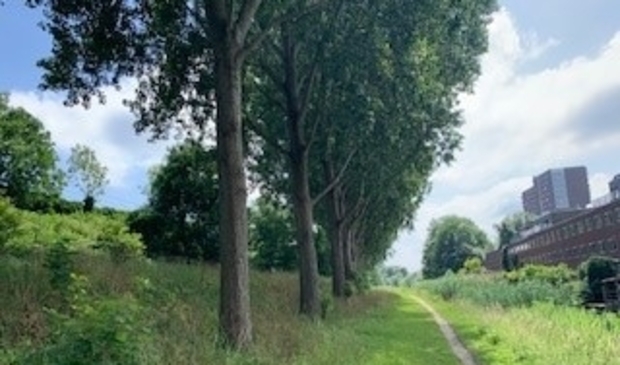 <p>Het pad langs de spoordijk is een walhalla voor loslopende honden.</p>