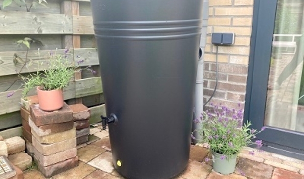<p>Een voorbeeld van een groene tuin.</p>