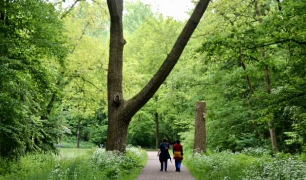 <p>Vliegenbos wandeling.</p>