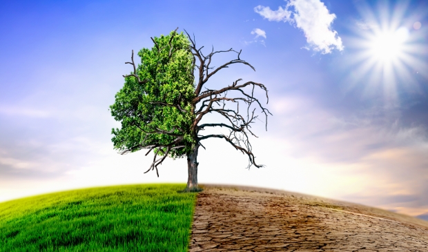 <p>Meld je aan als Klimaatburgemeester Alkmaar.</p>