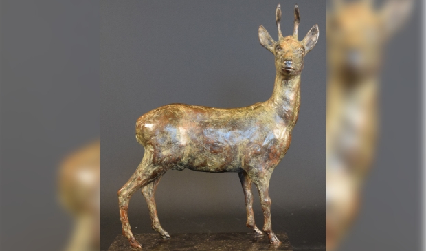 <p>Expositie in Dorpskerk Grootschermer met Peter Stet.</p>