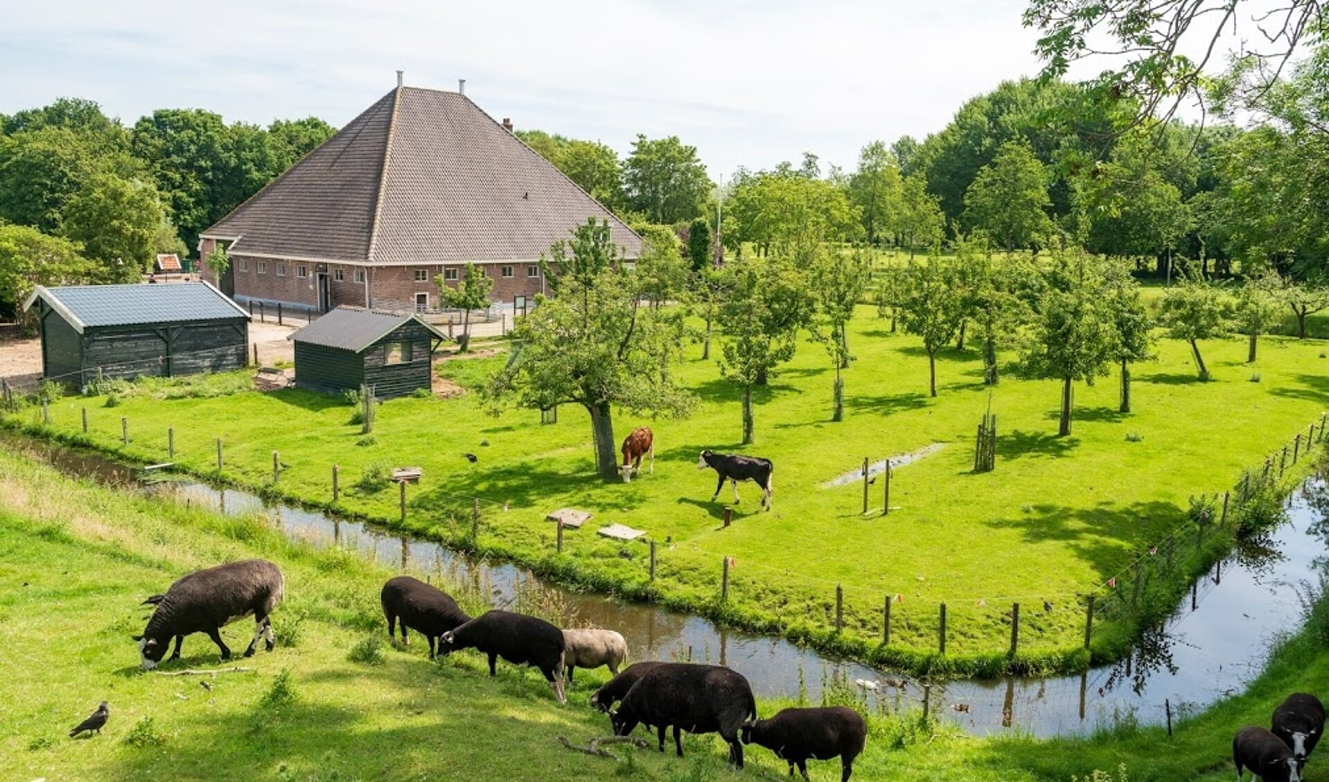 Wethouder Tijmstra: "We willen dat Purmerend ook voor insecten, vogels en allerlei planten en dieren een fijne woonplaats is."  