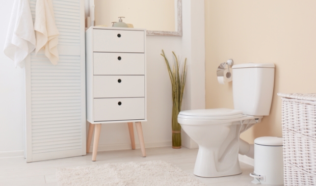 <p>Wist je dat je het toilet heel leuk kunt stylen? </p>