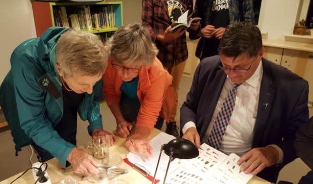 <p>Het bestuderen van de nachtvlinders levert meest prachtige waarnemingen op. </p>