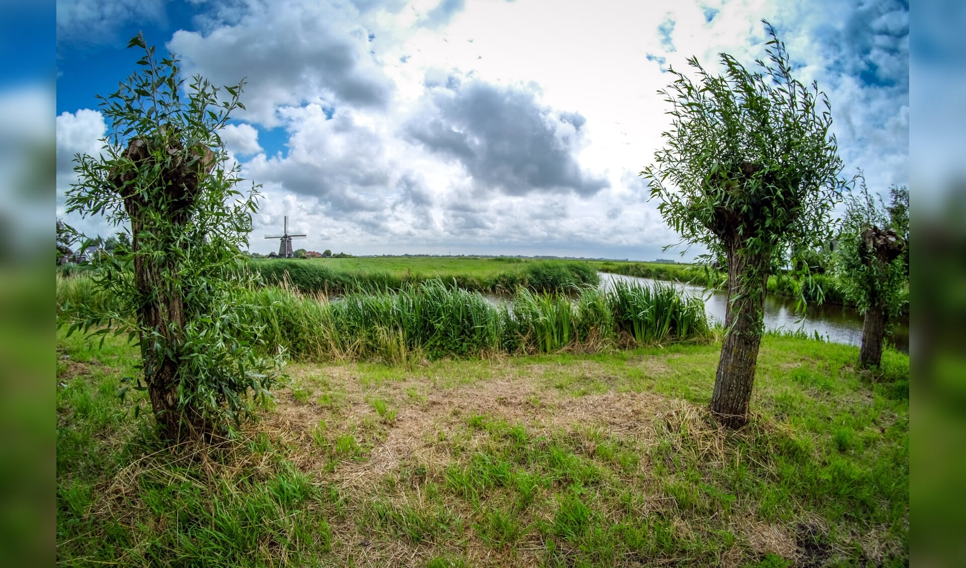 Ook dit gebied even ten zuiden van het Alkmaardermeer in gemeente Uitgeest hoort tot de Amsterdam Wetlands.